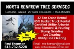 North Renfew Tree Services